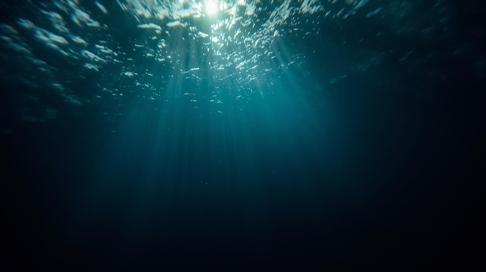 깨끗한 깊은 바닷속